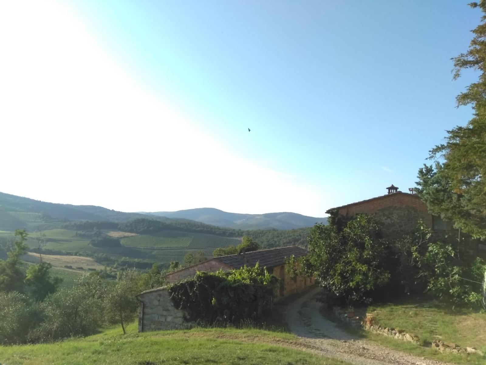 Borgo Carpineto Bed and Breakfast Vagliagli Buitenkant foto