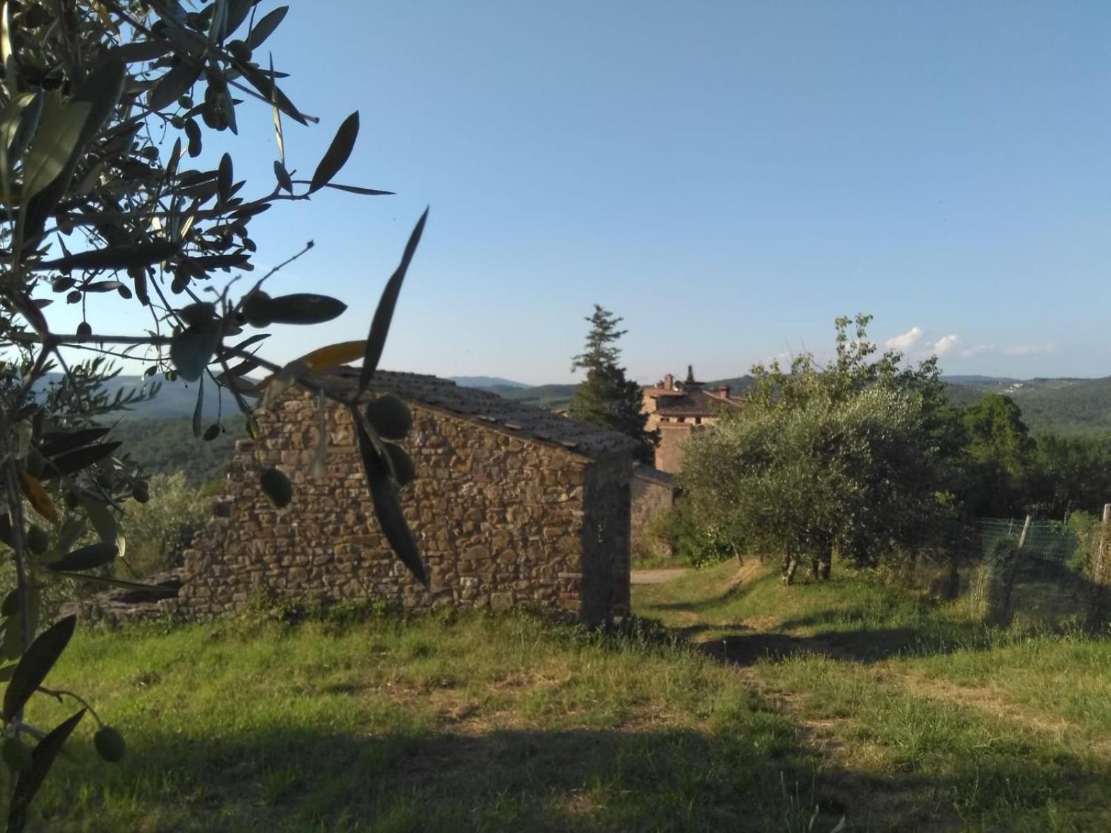 Borgo Carpineto Bed and Breakfast Vagliagli Buitenkant foto